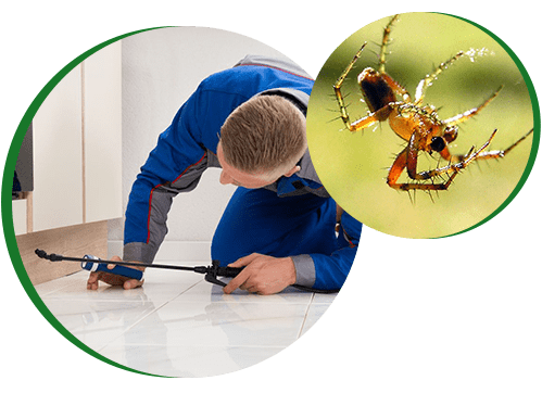 Nature-Rite Pest Management, Inc.