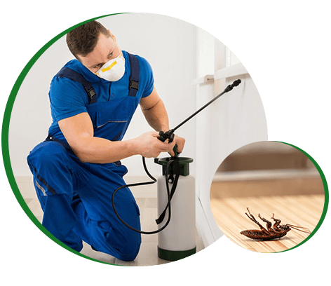 Nature-Rite Pest Management, Inc.